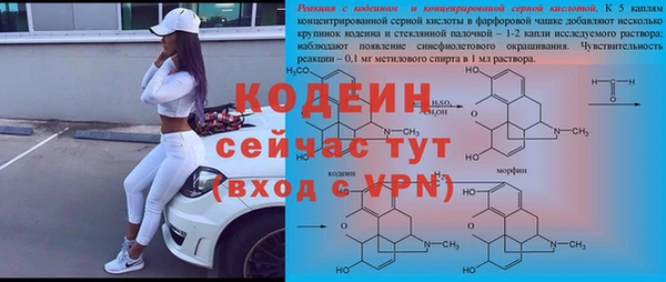 a pvp Аркадак