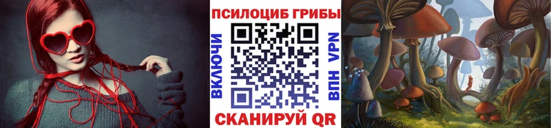 Галлюциногенные грибы Psilocybine cubensis  дарк нет состав  hydra ссылки  Междуреченск  купить закладку 