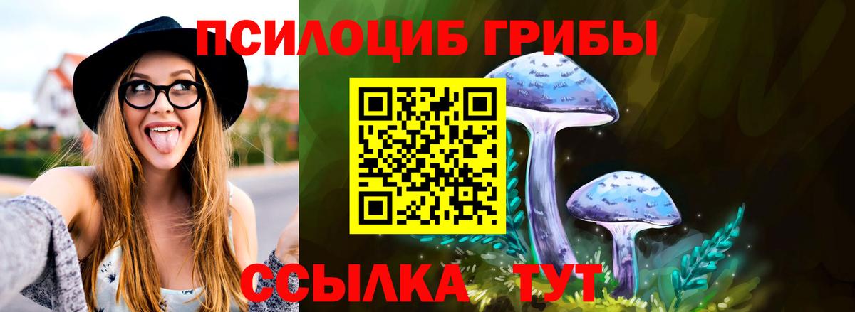 Междуреченск  Галлюциногенные грибы Magic Shrooms  Вход с VPN 