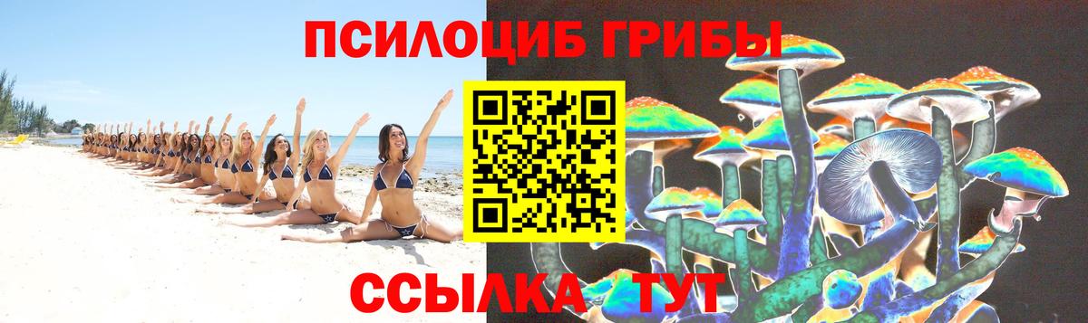 Галлюциногенные грибы MAGIC MUSHROOMS Междуреченск